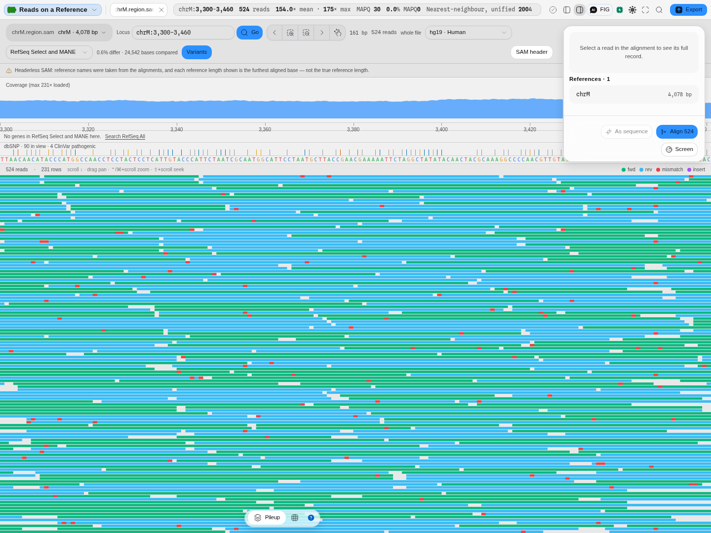 Human mitochondrial reads over chrM,300-3,460 against a public assembly rather than a file. Above the reference bases: the known-variant track, reporting 90 dbSNP records in view of which 4 are called pathogenic by ClinVar, and the gene track saying which RefSeq set it searched rather than reporting an absence in the locus. The bar reads 0.6% of 24,542 compared bases differing, which is what an alignment against its own assembly looks like.
