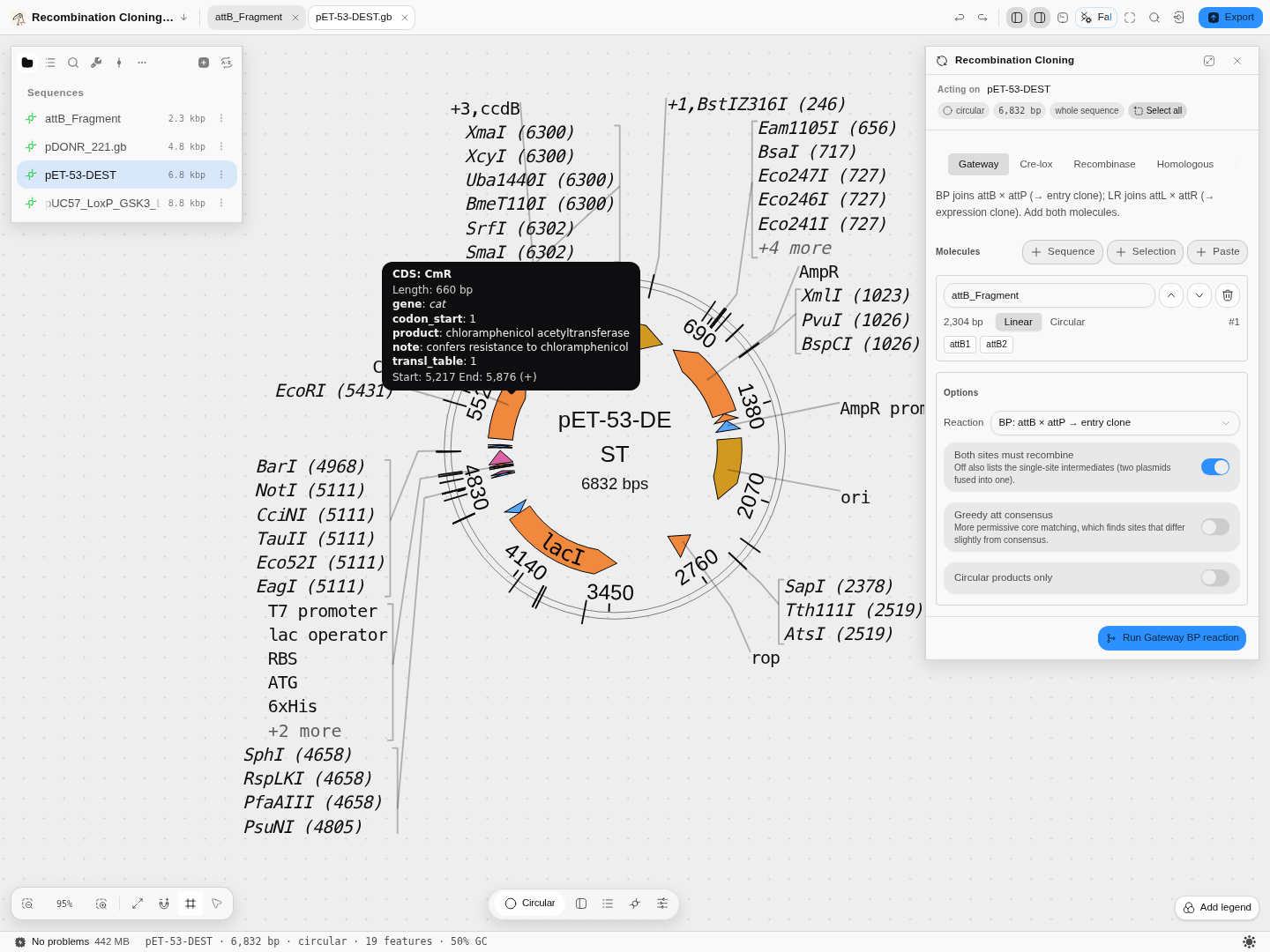 Hovering the CmR coding sequence on a SnapGene-authored plasmid shows its gene symbol in italics,
codon start, product name, note and translation table.