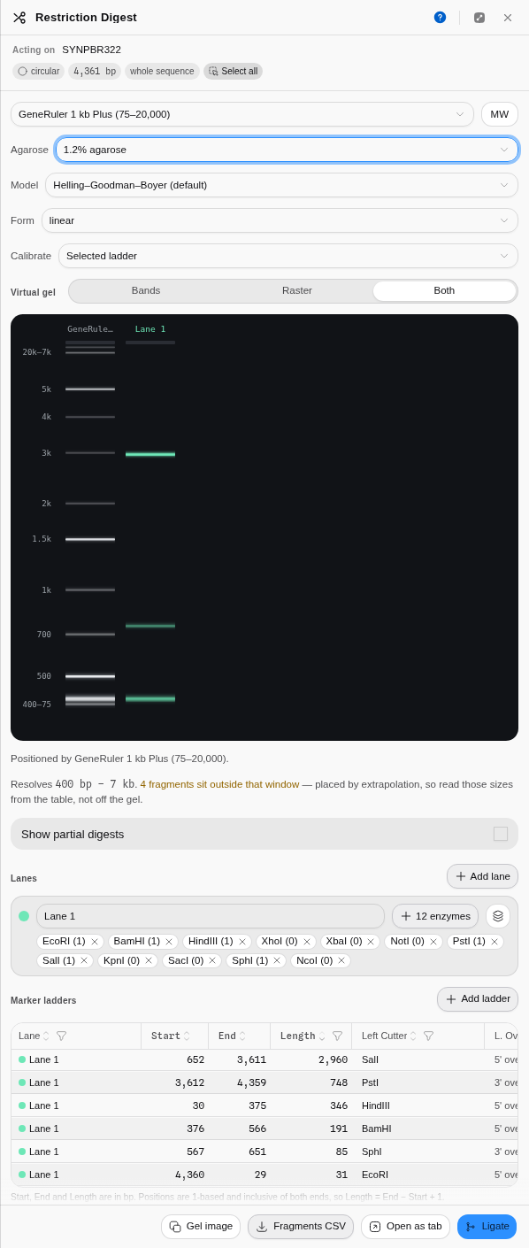 A digest of pBR322 with a loaded enzyme collection, run at 1.2 % agarose in Both mode