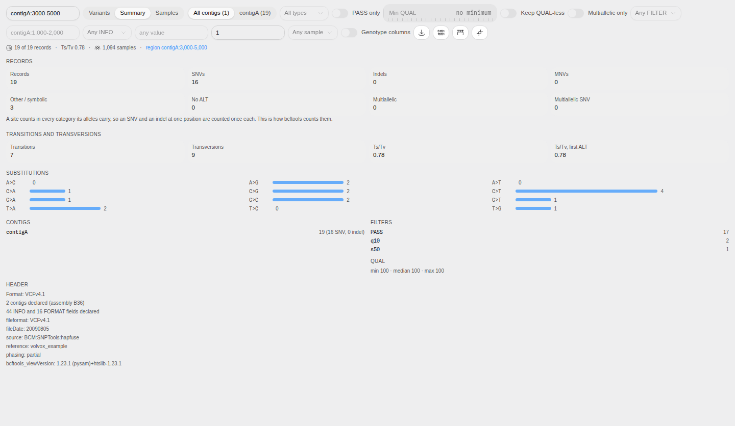 The Summary tab over one region: records, SNVs, indels, transitions and transversions, the substitution matrix, per-contig, filters, QUAL and the header block