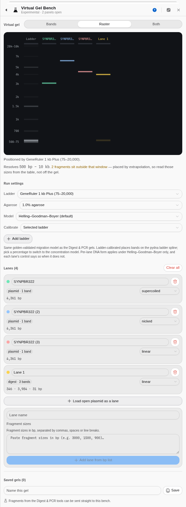 Raster mode on four lanes, including a digest handed over from the Restriction Digest tool